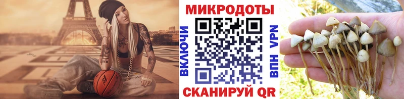 цены   ОМГ ОМГ как зайти  Галлюциногенные грибы Cubensis  Ишимбай 